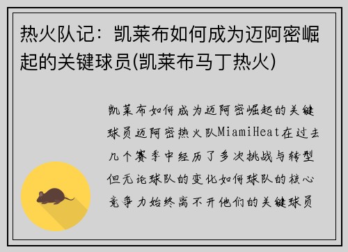 热火队记：凯莱布如何成为迈阿密崛起的关键球员(凯莱布马丁热火)