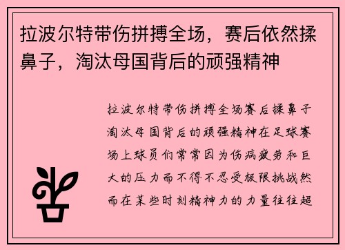 拉波尔特带伤拼搏全场，赛后依然揉鼻子，淘汰母国背后的顽强精神